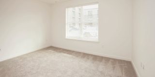 Richmond Row Gallery 28