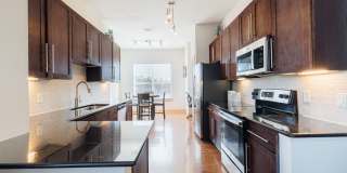 Domain at Kirby Gallery 19