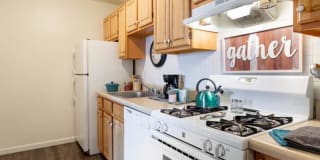 Indian Springs Gallery 3