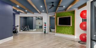 Ellison at The Exchange Gallery 12