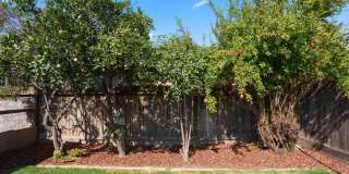 6804 N Backer Avenue Gallery 5