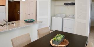 Senior & Affordable Housing - The Legends of Champlin Gallery 22