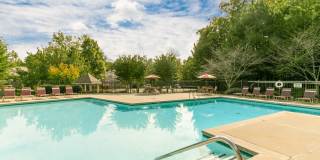 Ellington Woods Apartments Gallery 15