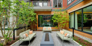 Piper Piper Gallery 14