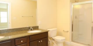 The Springs Gallery 34