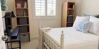 29657 Starring Gallery 27