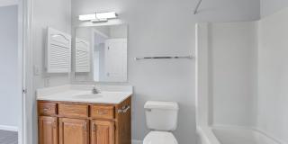 Linden At Elmtree Gallery 9