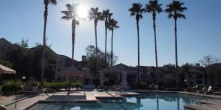 420 TIMBERWALK Court unit: 1223 Gallery 29