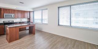 Eleven55 Ripley Gallery 17