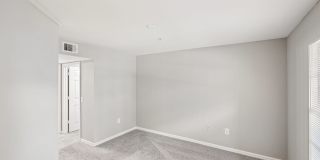 Coral Cove Gallery 32