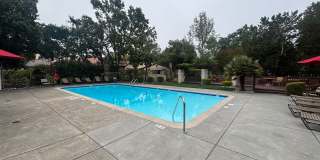 Updated 2 Bedroom 2 Bathroom Brush Creek Villa Condo with A/C Gallery 14