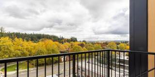 AMLI Redmond Way Gallery 13