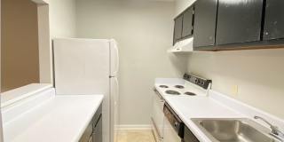 Available This Fall! Gallery 1