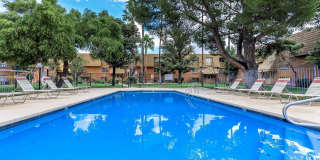Bella Flora Apartments Gallery 14