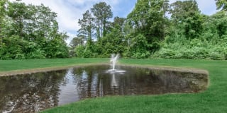 Arbor Trace Gallery 3