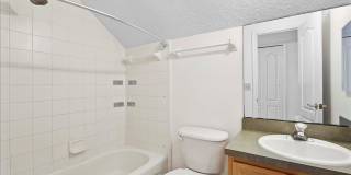 8871 CANOPY OAKS Drive Gallery 35