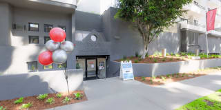 Lanewood Pines Gallery 10