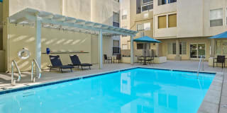 Palms Court Gallery 19