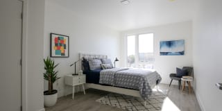 Hollis Oak Gallery 3