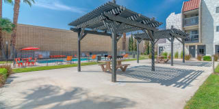 THE MODERN CACTUS Gallery 12