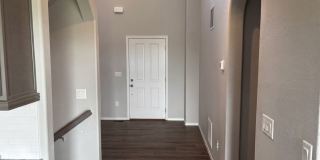 Beautiful Banning Lewis Ranch 5 Bed, 4 Bath Home, 3 Car garage, Great Views and Amenities Gallery 8