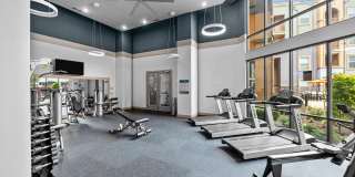 Dominion at Mercer Crossing Gallery 33