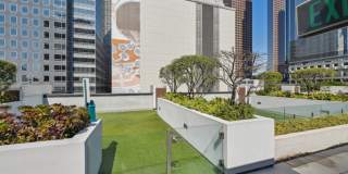 Trademark Gallery 13