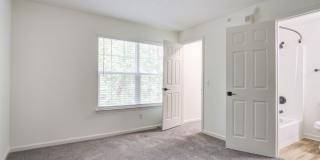 The Lily The Lily Gallery 11