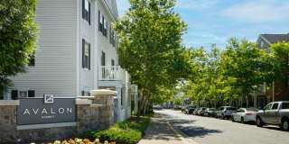 Avalon Russett Gallery 28