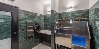 Skylar Grand Gallery 24