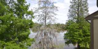 284 Woodlake Wynde Gallery 49