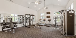 Bridgestone Gallery 25