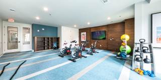 Lenox SoCo Lenox SoCo Gallery 17