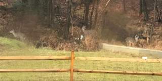 16 WHALER DRIVE Gallery 13