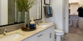 AMLI Grapevine Gallery 9