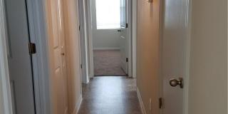 334 Trestle Tree Gallery 16
