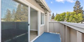 The Sycamores Apartments Gallery 12