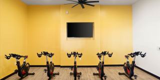 Acero Val Vista Gallery 33