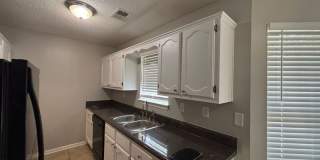 9532 Chi Chi Cv Gallery 4