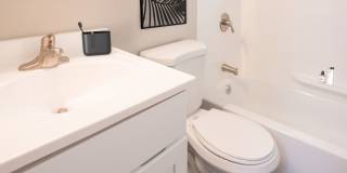 The Dorchester Gallery 5