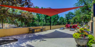 Belmont Buckingham Gallery 5