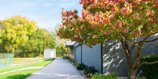 Wingfield Club Gallery 21