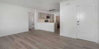 The Jackson Gallery 4