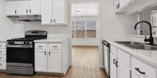 ReNew Woodland North and South Gallery 18