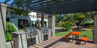 Icon on Pima Gallery 24