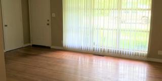 5 Bedroom Home Walking Distance to FSU! Pre-Lease August 2027! Gallery 6