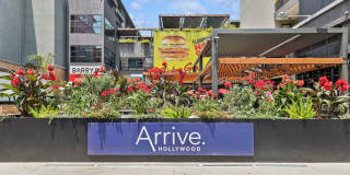 Arrive Hollywood Arrive Hollywood Gallery 53