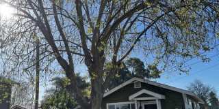 1660 Jennings Avenue Gallery 1