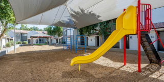 Avana Chandler Gallery 15