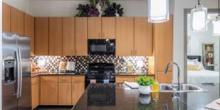 Millennium Waterway Gallery 8